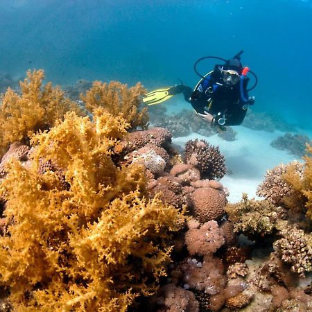 Отель Dive Urge Дахаб Экстерьер фото